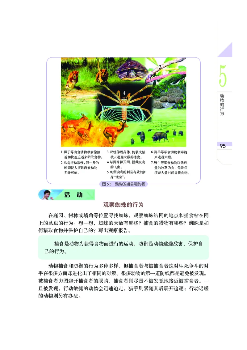 武汉版7年级科学下册高清教材_4-教培资料-26年最新资料-同步更新_初中高中教资_03科三专项（进去保存报考的学科即可）_02科三专项（笔记真题思维导图教学设计版本二）