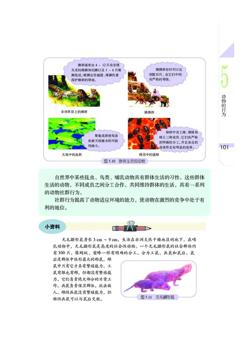 武汉版7年级科学下册高清教材_4-教培资料-26年最新资料-同步更新_初中高中教资_03科三专项（进去保存报考的学科即可）_02科三专项（笔记真题思维导图教学设计版本二）