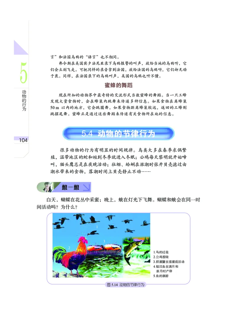 武汉版7年级科学下册高清教材_4-教培资料-26年最新资料-同步更新_初中高中教资_03科三专项（进去保存报考的学科即可）_02科三专项（笔记真题思维导图教学设计版本二）