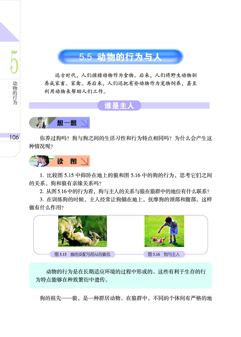 武汉版7年级科学下册高清教材_4-教培资料-26年最新资料-同步更新_初中高中教资_03科三专项（进去保存报考的学科即可）_02科三专项（笔记真题思维导图教学设计版本二）