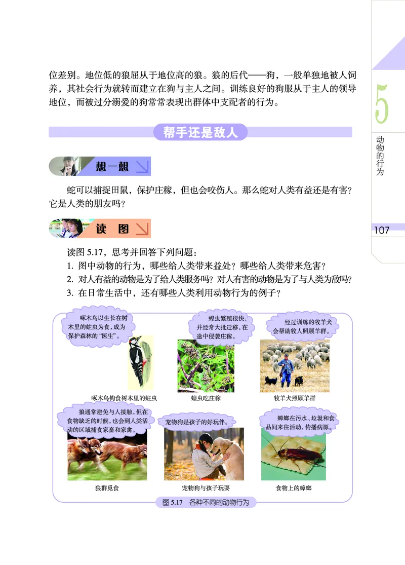 武汉版7年级科学下册高清教材_4-教培资料-26年最新资料-同步更新_初中高中教资_03科三专项（进去保存报考的学科即可）_02科三专项（笔记真题思维导图教学设计版本二）