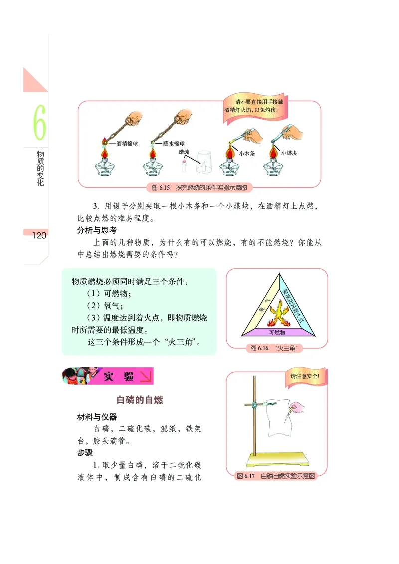 武汉版7年级科学下册高清教材_4-教培资料-26年最新资料-同步更新_初中高中教资_03科三专项（进去保存报考的学科即可）_02科三专项（笔记真题思维导图教学设计版本二）