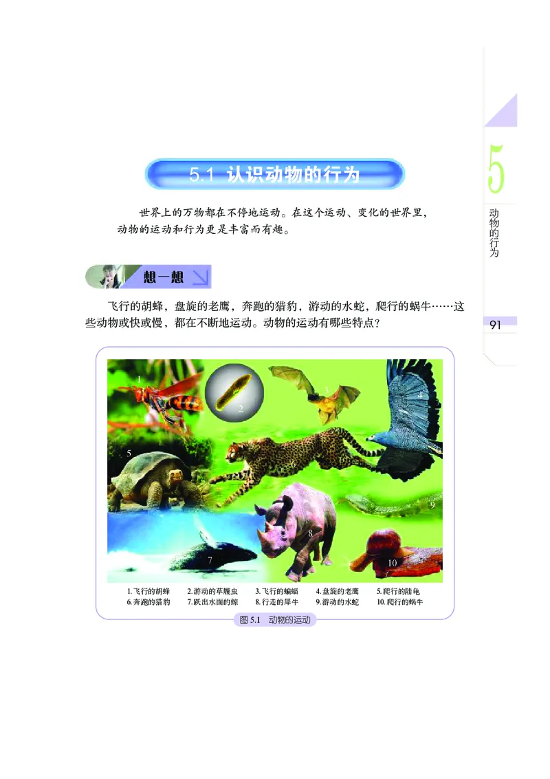 武汉版7年级科学下册高清教材_4-教培资料-26年最新资料-同步更新_初中高中教资_03科三专项（进去保存报考的学科即可）_02科三专项（笔记真题思维导图教学设计版本二）