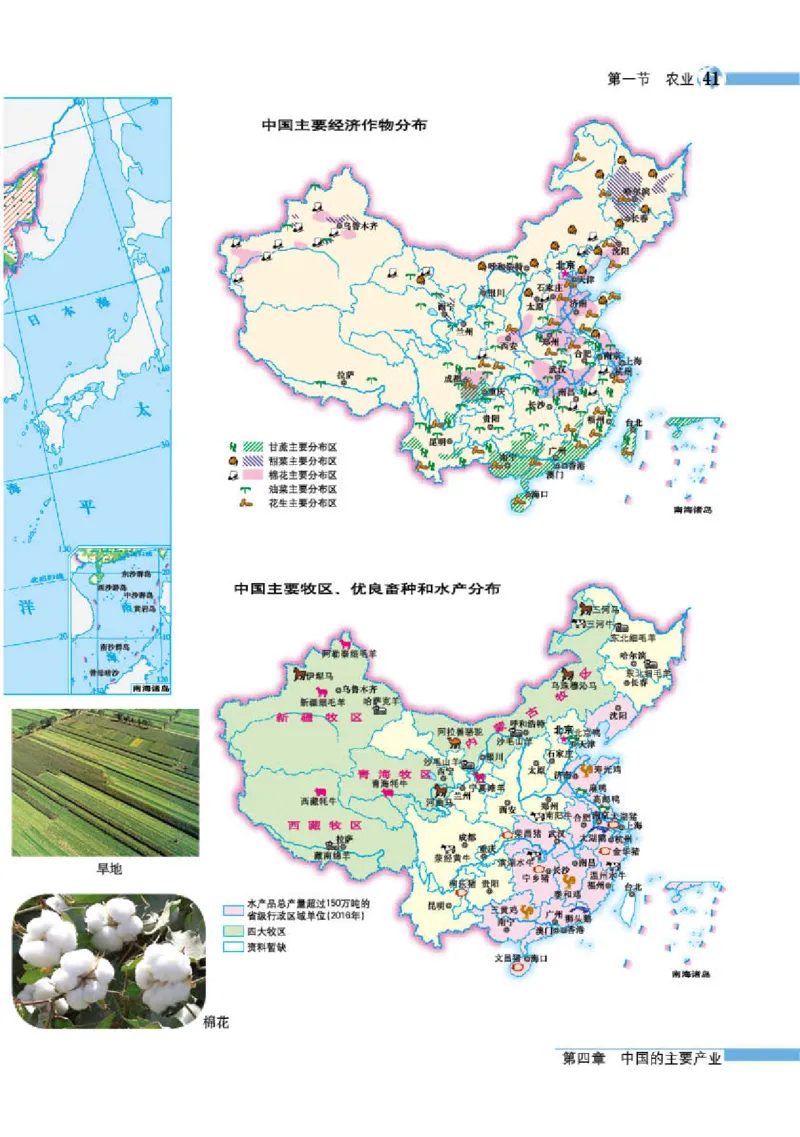 湘教版8年级地理上册地理图册_4-教培资料-26年最新资料-同步更新_初中高中教资_03科三专项（进去保存报考的学科即可）_02科三专项（笔记真题思维导图教学设计版本二）