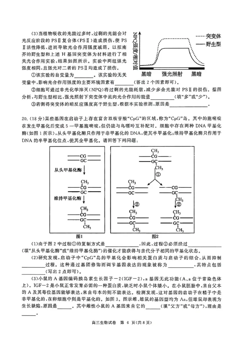 2024届湖北省武汉市（武汉六中）部分重点中学高三第二次联考生物试题_2024年1月_01每日更新_19号_2024届湖北省部分重点中学高三上学期第二次联考