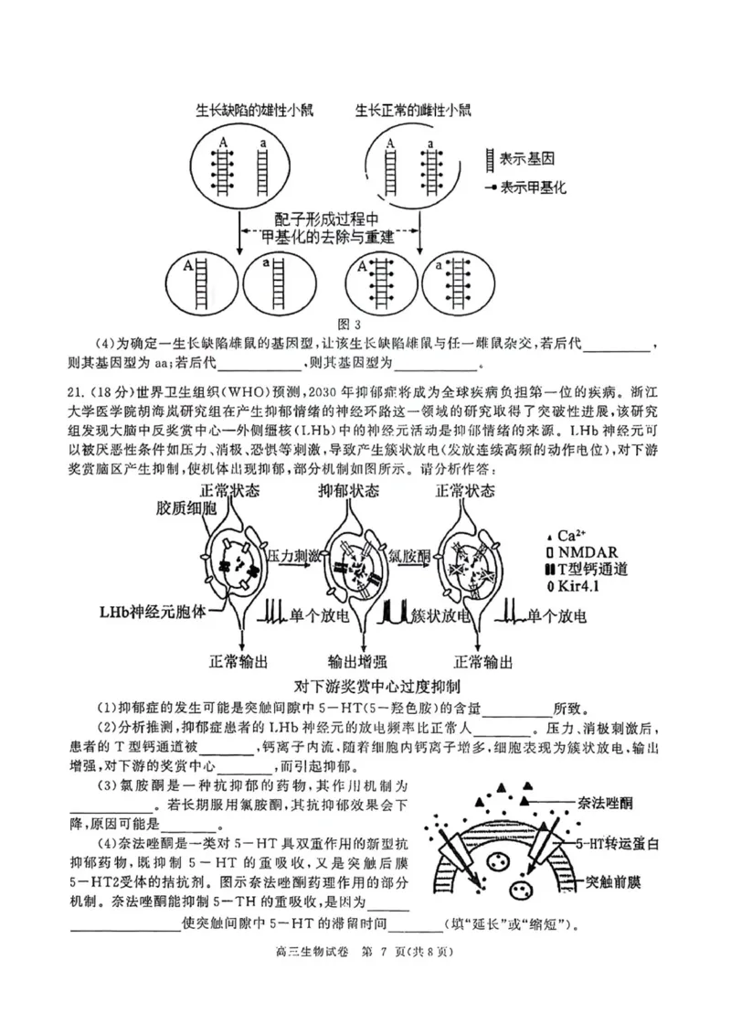 2024届湖北省武汉市（武汉六中）部分重点中学高三第二次联考生物试题_2024年1月_01每日更新_19号_2024届湖北省部分重点中学高三上学期第二次联考