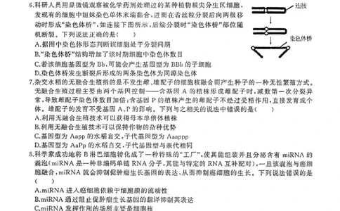 2024届湖北省武汉市（武汉六中）部分重点中学高三第二次联考生物试题_2024年1月_01每日更新_19号_2024届湖北省部分重点中学高三上学期第二次联考