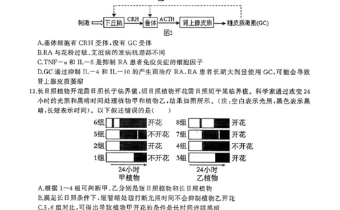 2024届湖北省武汉市（武汉六中）部分重点中学高三第二次联考生物试题_2024年1月_01每日更新_19号_2024届湖北省部分重点中学高三上学期第二次联考