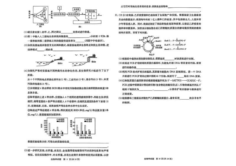 江西省赣抚吉十二校2026届高三上学期第一次联考生物试卷（含答案）_2025年7月_250723江西省赣抚吉十二校2026届高三上学期第一次联考（全科）