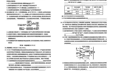 江西省赣抚吉十二校2026届高三上学期第一次联考生物试卷（含答案）_2025年7月_250723江西省赣抚吉十二校2026届高三上学期第一次联考（全科）