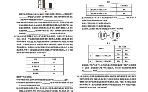 江西省赣抚吉十二校2026届高三上学期第一次联考生物试卷（含答案）_2025年7月_250723江西省赣抚吉十二校2026届高三上学期第一次联考（全科）