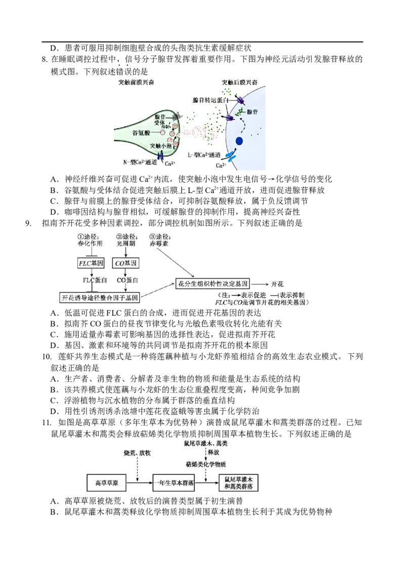 南师、海安、天一、海门G4联考_2025年12月_251229江苏省南京师大附中、海安中学、天一中学、海门中学G4联考2025-2026学年高三上学期12月
