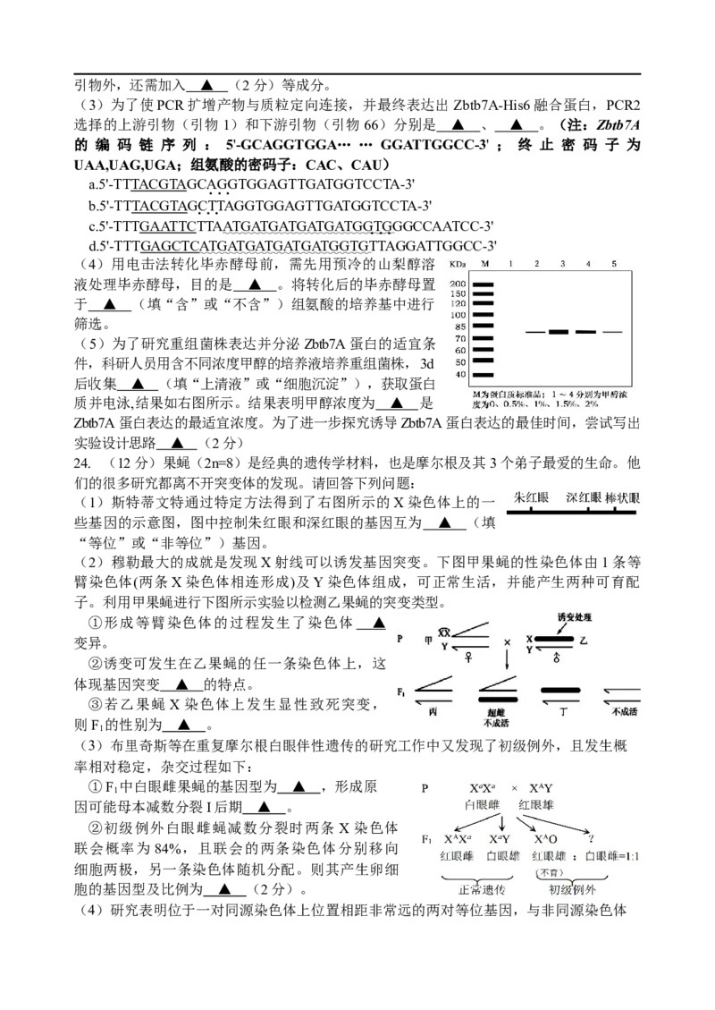 南师、海安、天一、海门G4联考_2025年12月_251229江苏省南京师大附中、海安中学、天一中学、海门中学G4联考2025-2026学年高三上学期12月