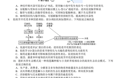 南师、海安、天一、海门G4联考_2025年12月_251229江苏省南京师大附中、海安中学、天一中学、海门中学G4联考2025-2026学年高三上学期12月