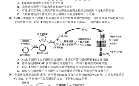 南师、海安、天一、海门G4联考_2025年12月_251229江苏省南京师大附中、海安中学、天一中学、海门中学G4联考2025-2026学年高三上学期12月