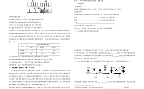 2025届高考生物学热点核心卷新高考卷三_2025年6月_2506022025届高考生物学热点核心卷新高考卷_2025届高考生物学热点核心卷新高考卷三（含解析）