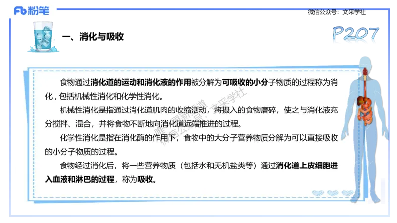 理论精讲10-运动生理学5-陈晶晶(1)(1)_4-教培资料-26年最新资料-同步更新_初中高中教资_03科三专项（进去保存报考的学科即可）_初中_初中体育-通关资料包_3.课程FB系统班课程