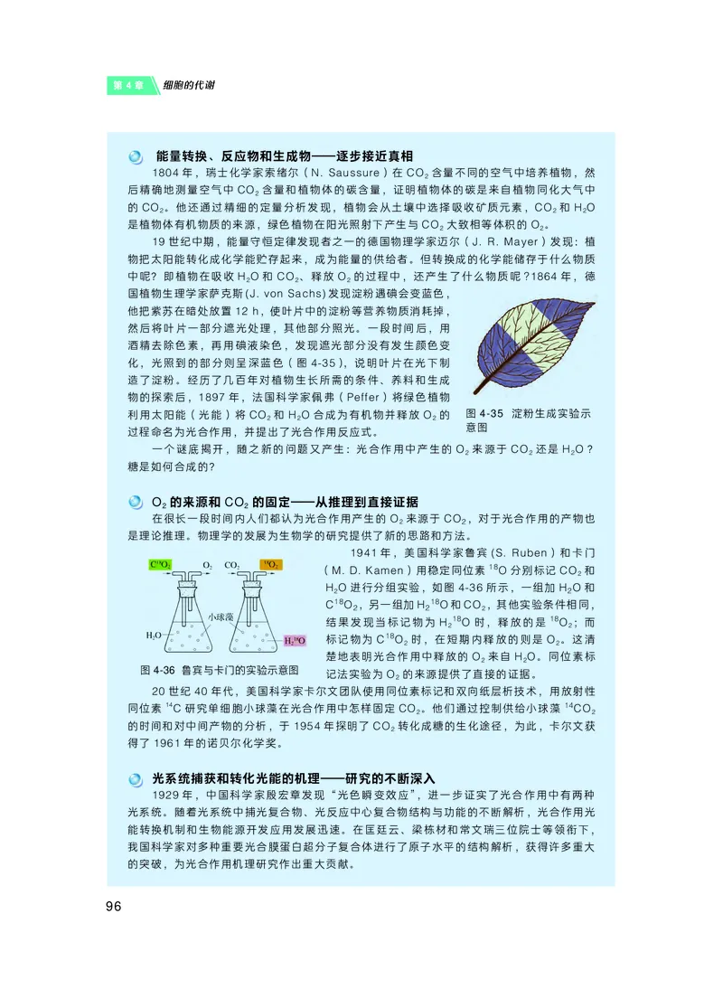 沪科技生物必修1高清教材_4-教培资料-26年最新资料-同步更新_初中高中教资_03科三专项（进去保存报考的学科即可）_02科三专项（笔记真题思维导图教学设计版本二）