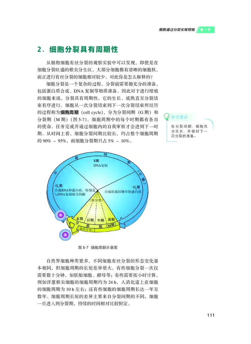 沪科技生物必修1高清教材_4-教培资料-26年最新资料-同步更新_初中高中教资_03科三专项（进去保存报考的学科即可）_02科三专项（笔记真题思维导图教学设计版本二）