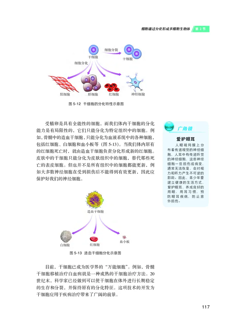 沪科技生物必修1高清教材_4-教培资料-26年最新资料-同步更新_初中高中教资_03科三专项（进去保存报考的学科即可）_02科三专项（笔记真题思维导图教学设计版本二）