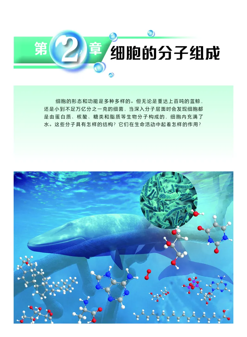 沪科技生物必修1高清教材_4-教培资料-26年最新资料-同步更新_初中高中教资_03科三专项（进去保存报考的学科即可）_02科三专项（笔记真题思维导图教学设计版本二）