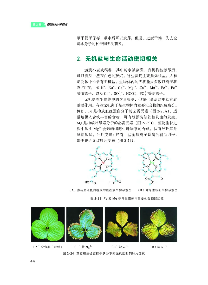 沪科技生物必修1高清教材_4-教培资料-26年最新资料-同步更新_初中高中教资_03科三专项（进去保存报考的学科即可）_02科三专项（笔记真题思维导图教学设计版本二）