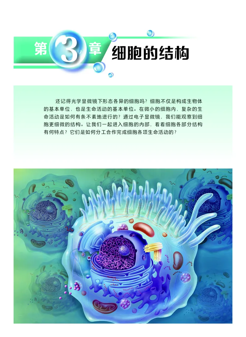 沪科技生物必修1高清教材_4-教培资料-26年最新资料-同步更新_初中高中教资_03科三专项（进去保存报考的学科即可）_02科三专项（笔记真题思维导图教学设计版本二）