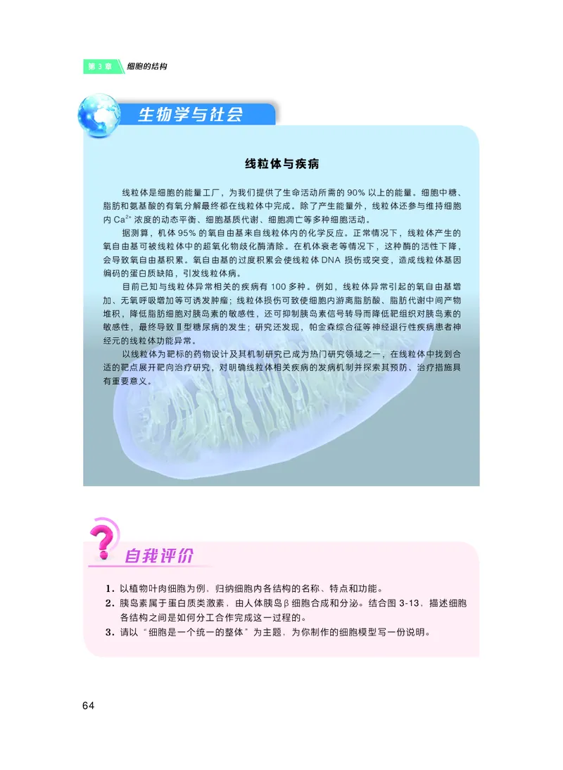 沪科技生物必修1高清教材_4-教培资料-26年最新资料-同步更新_初中高中教资_03科三专项（进去保存报考的学科即可）_02科三专项（笔记真题思维导图教学设计版本二）