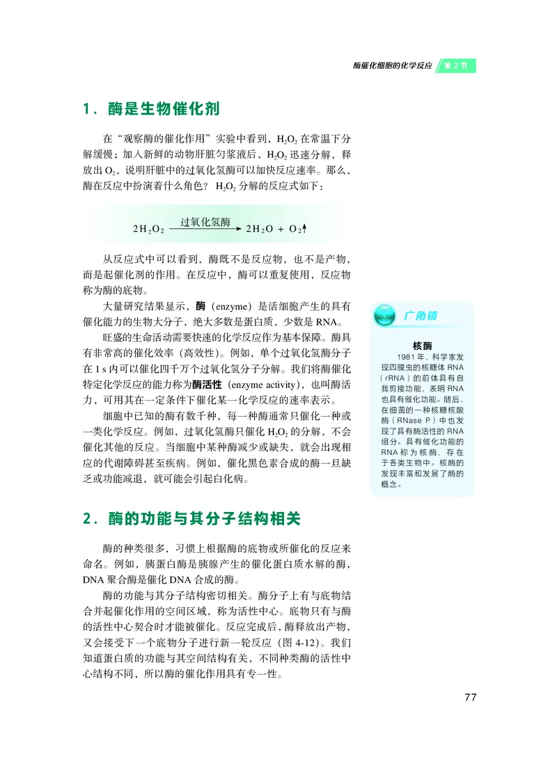 沪科技生物必修1高清教材_4-教培资料-26年最新资料-同步更新_初中高中教资_03科三专项（进去保存报考的学科即可）_02科三专项（笔记真题思维导图教学设计版本二）