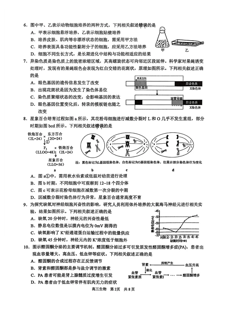 江苏省苏州市2025-2026学年高三上学期期中阳光调研生物试题（含答案）_251119江苏省苏州市2025-2026学年高三上学期期中阳光调研（全科）