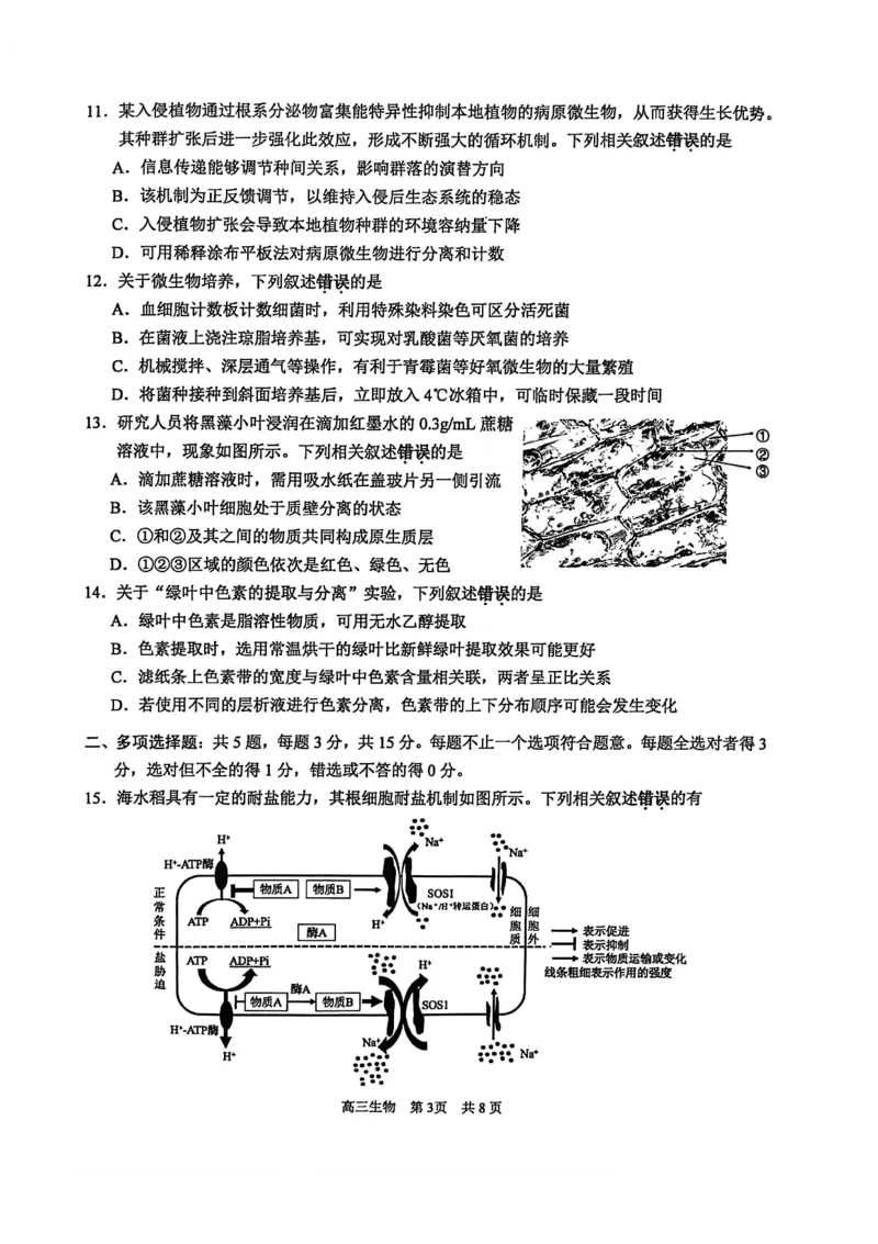 江苏省苏州市2025-2026学年高三上学期期中阳光调研生物试题（含答案）_251119江苏省苏州市2025-2026学年高三上学期期中阳光调研（全科）