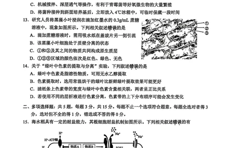 江苏省苏州市2025-2026学年高三上学期期中阳光调研生物试题（含答案）_251119江苏省苏州市2025-2026学年高三上学期期中阳光调研（全科）