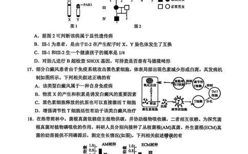 江苏省苏州市2025-2026学年高三上学期期中阳光调研生物试题（含答案）_251119江苏省苏州市2025-2026学年高三上学期期中阳光调研（全科）