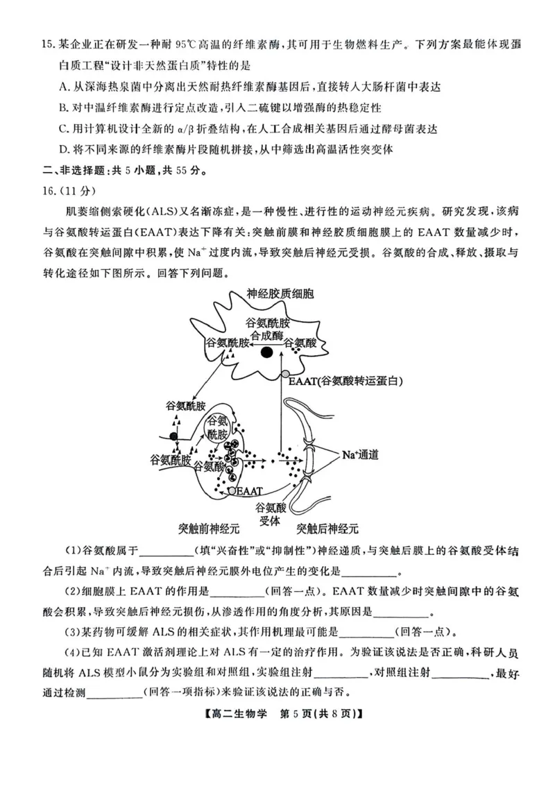安徽省江淮协作区2024-2025学年高二下学期期末联合监测生物试卷（含答案）_2025年7月_250711安徽省江淮协作区2024-2025学年高二下学期期末联合监测（全科）
