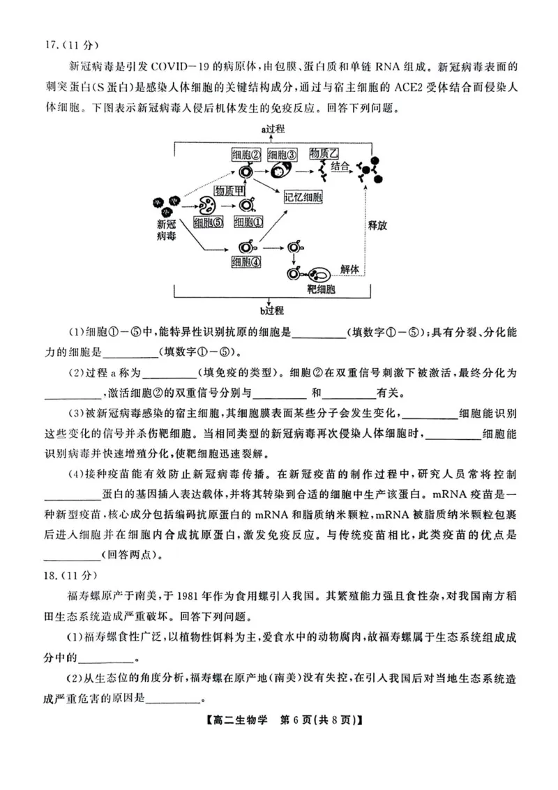 安徽省江淮协作区2024-2025学年高二下学期期末联合监测生物试卷（含答案）_2025年7月_250711安徽省江淮协作区2024-2025学年高二下学期期末联合监测（全科）