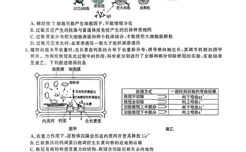 安徽省江淮协作区2024-2025学年高二下学期期末联合监测生物试卷（含答案）_2025年7月_250711安徽省江淮协作区2024-2025学年高二下学期期末联合监测（全科）
