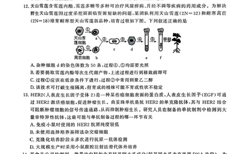 安徽省江淮协作区2024-2025学年高二下学期期末联合监测生物试卷（含答案）_2025年7月_250711安徽省江淮协作区2024-2025学年高二下学期期末联合监测（全科）
