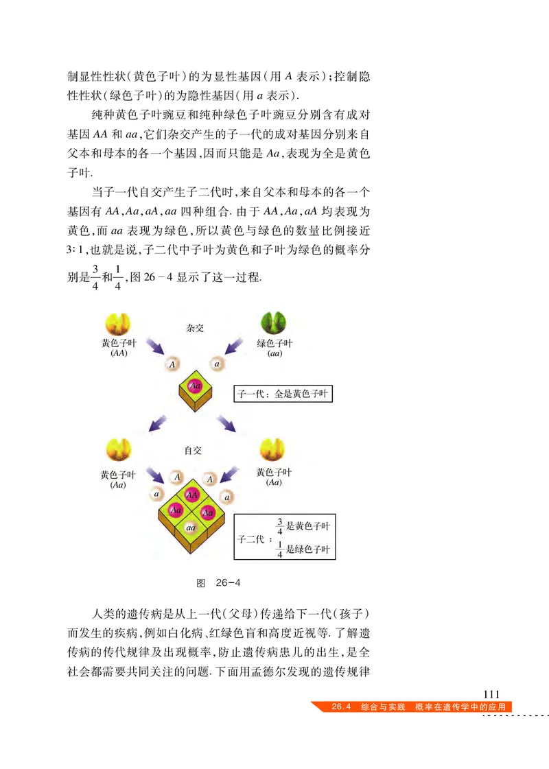 沪科版9年级数学下册高清教材_4-教培资料-26年最新资料-同步更新_初中高中教资_03科三专项（进去保存报考的学科即可）_02科三专项（笔记真题思维导图教学设计版本二）