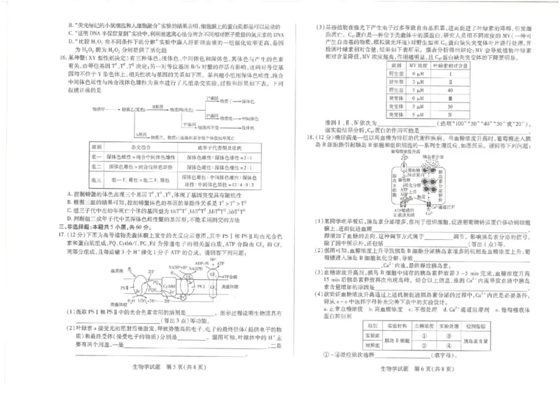 湖南省湘一名校联盟2026届高三上学期12月质量检测（二模）生物_2025年12月_251230湖南省湘一名校联盟2026届高三上学期12月质量检测（全科）