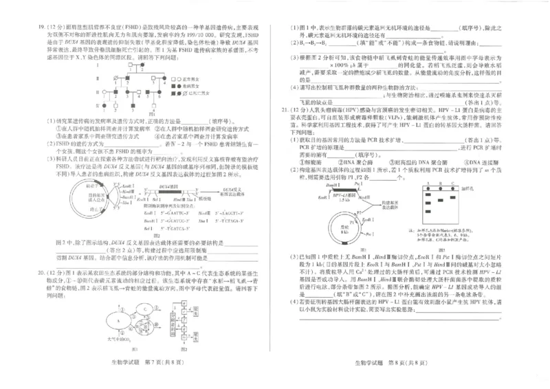 湖南省湘一名校联盟2026届高三上学期12月质量检测（二模）生物_2025年12月_251230湖南省湘一名校联盟2026届高三上学期12月质量检测（全科）