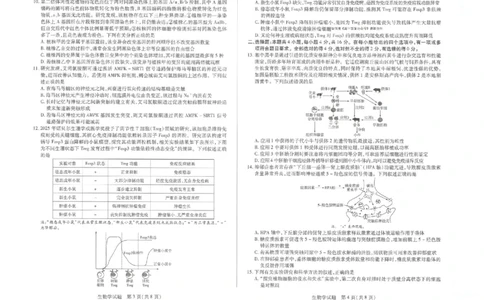 湖南省湘一名校联盟2026届高三上学期12月质量检测（二模）生物_2025年12月_251230湖南省湘一名校联盟2026届高三上学期12月质量检测（全科）