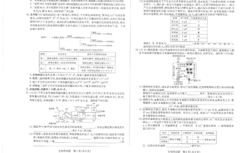 湖南省湘一名校联盟2026届高三上学期12月质量检测（二模）生物_2025年12月_251230湖南省湘一名校联盟2026届高三上学期12月质量检测（全科）