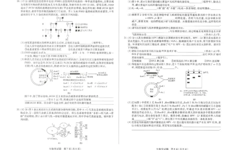 湖南省湘一名校联盟2026届高三上学期12月质量检测（二模）生物_2025年12月_251230湖南省湘一名校联盟2026届高三上学期12月质量检测（全科）