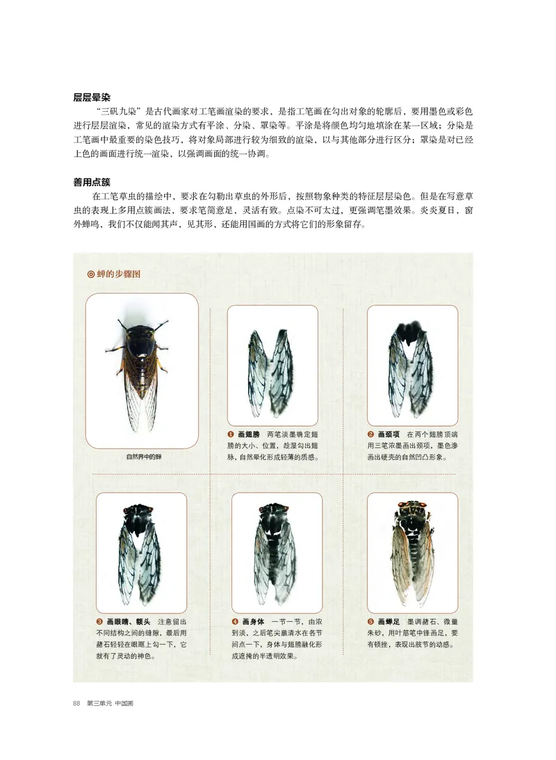 沪教版美术选修2高清教材_4-教培资料-26年最新资料-同步更新_初中高中教资_03科三专项（进去保存报考的学科即可）_02科三专项（笔记真题思维导图教学设计版本二）