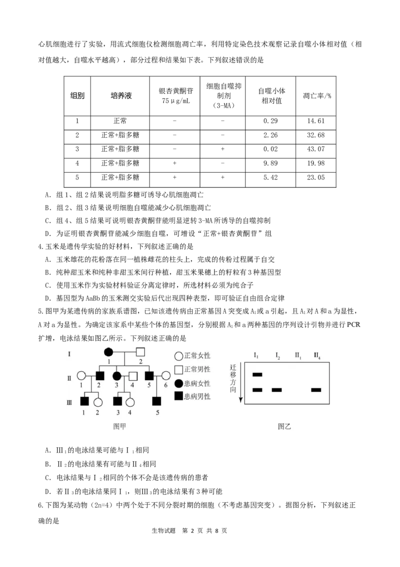 =====生物试题_2025年6月_250602安徽省马鞍山二中2025届高三年级高考适应性考试（全科）_卷word