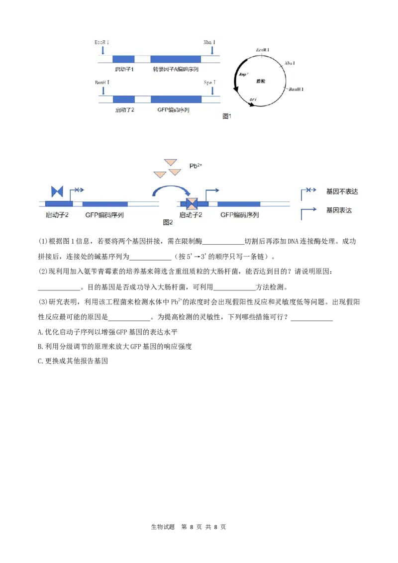 =====生物试题_2025年6月_250602安徽省马鞍山二中2025届高三年级高考适应性考试（全科）_卷word