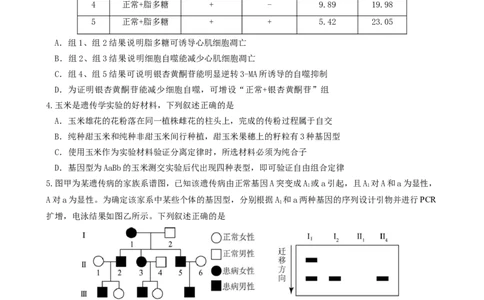=====生物试题_2025年6月_250602安徽省马鞍山二中2025届高三年级高考适应性考试（全科）_卷word