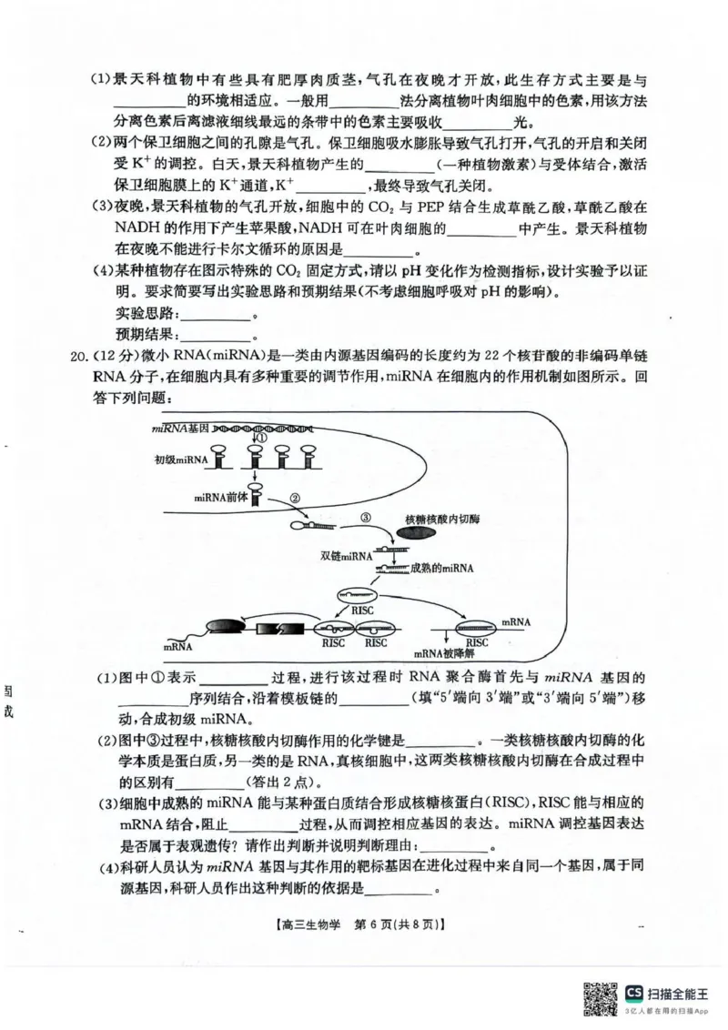 河北省2026届高三上学期12月联考（26-150C）生物_2025年12月_251223金太阳&middot;河北省2026届高三上学期12月联考（26-150C）（全科）_河北省2026届高三上学期12月联考（26-150C）生物