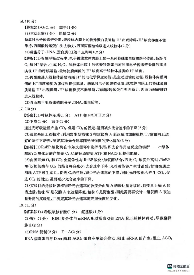 四川省2025一2026学年高三一轮复习阶段性测评生物答案_2025年12月_251208天府名校大联考&middot;四川省2025一2026学年高三一轮复习阶段性测评（全科）