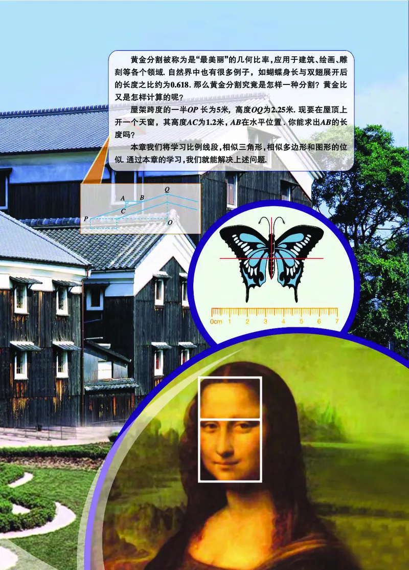 浙教版9年级数学上册高清教材_4-教培资料-26年最新资料-同步更新_初中高中教资_03科三专项（进去保存报考的学科即可）_02科三专项（笔记真题思维导图教学设计版本二）